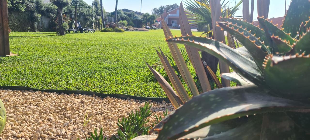 Hollidays Dreams Villa Póvoa de Varzim Eksteriør bilde