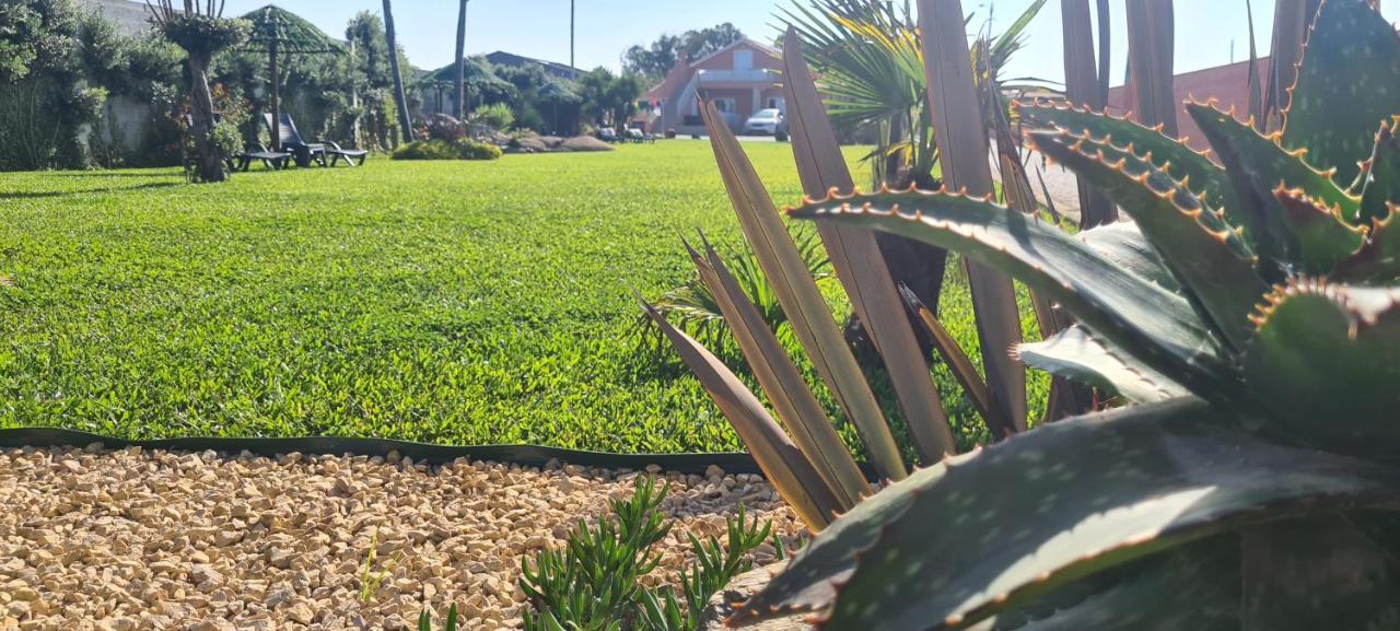 Hollidays Dreams Villa Póvoa de Varzim Eksteriør bilde