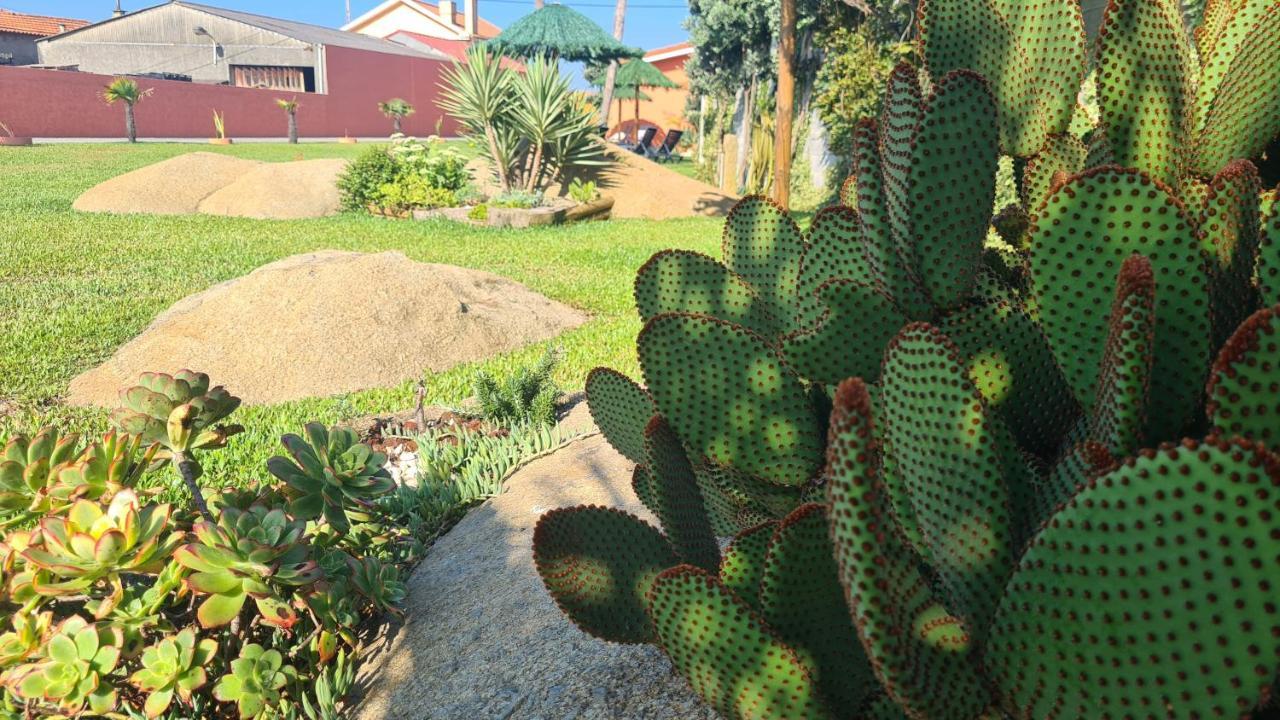 Hollidays Dreams Villa Póvoa de Varzim Eksteriør bilde
