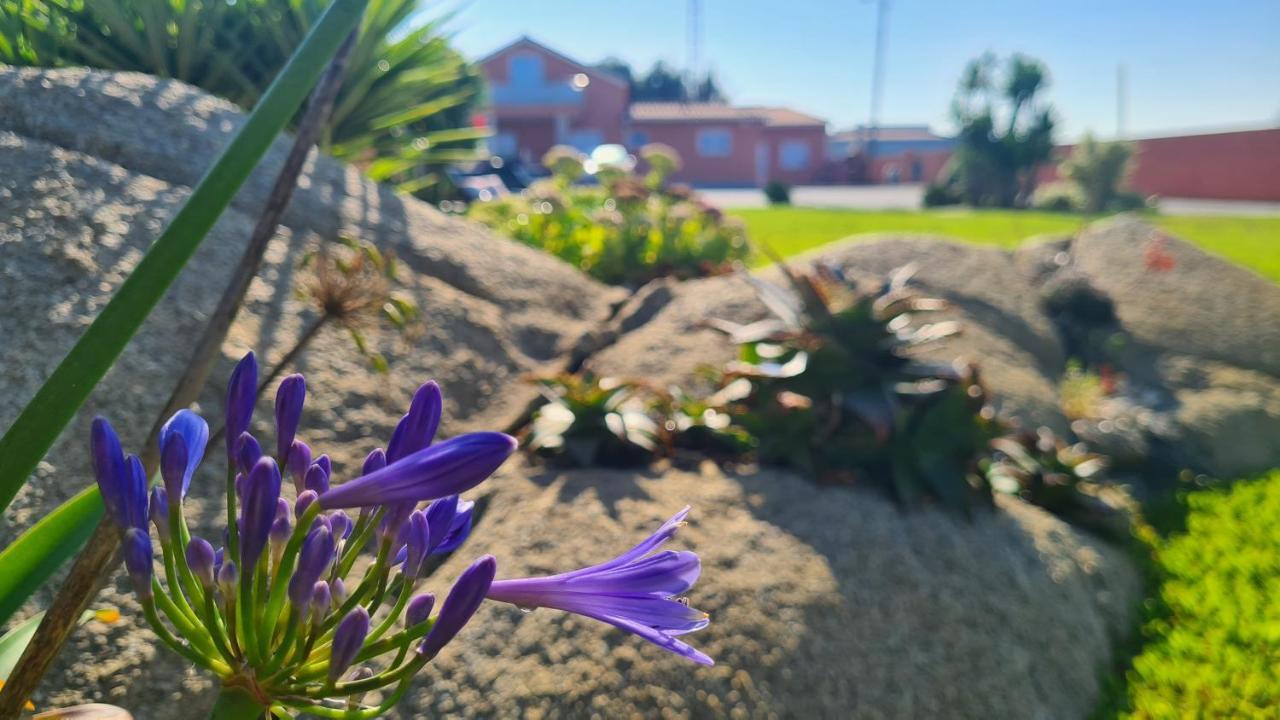Hollidays Dreams Villa Póvoa de Varzim Eksteriør bilde