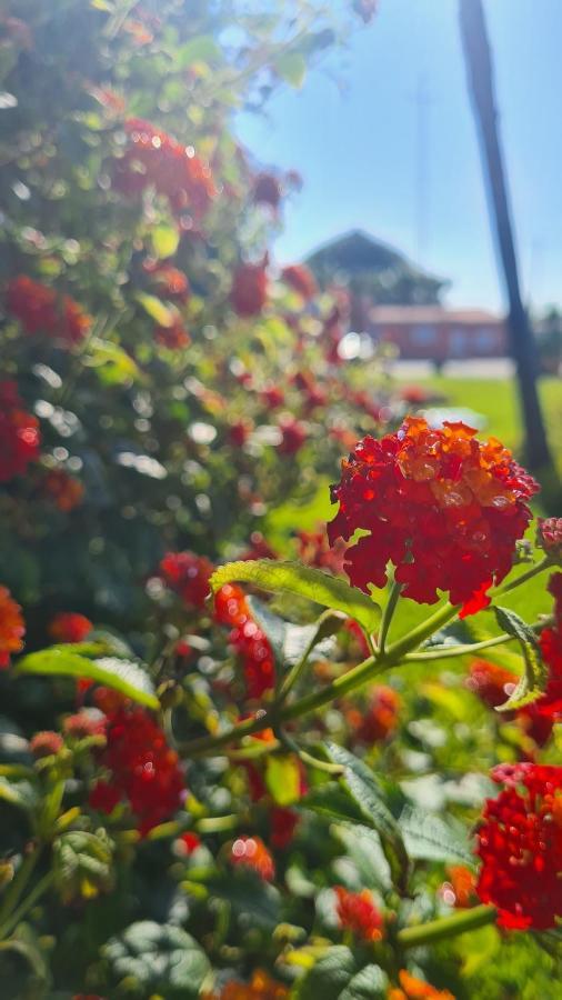 Hollidays Dreams Villa Póvoa de Varzim Eksteriør bilde