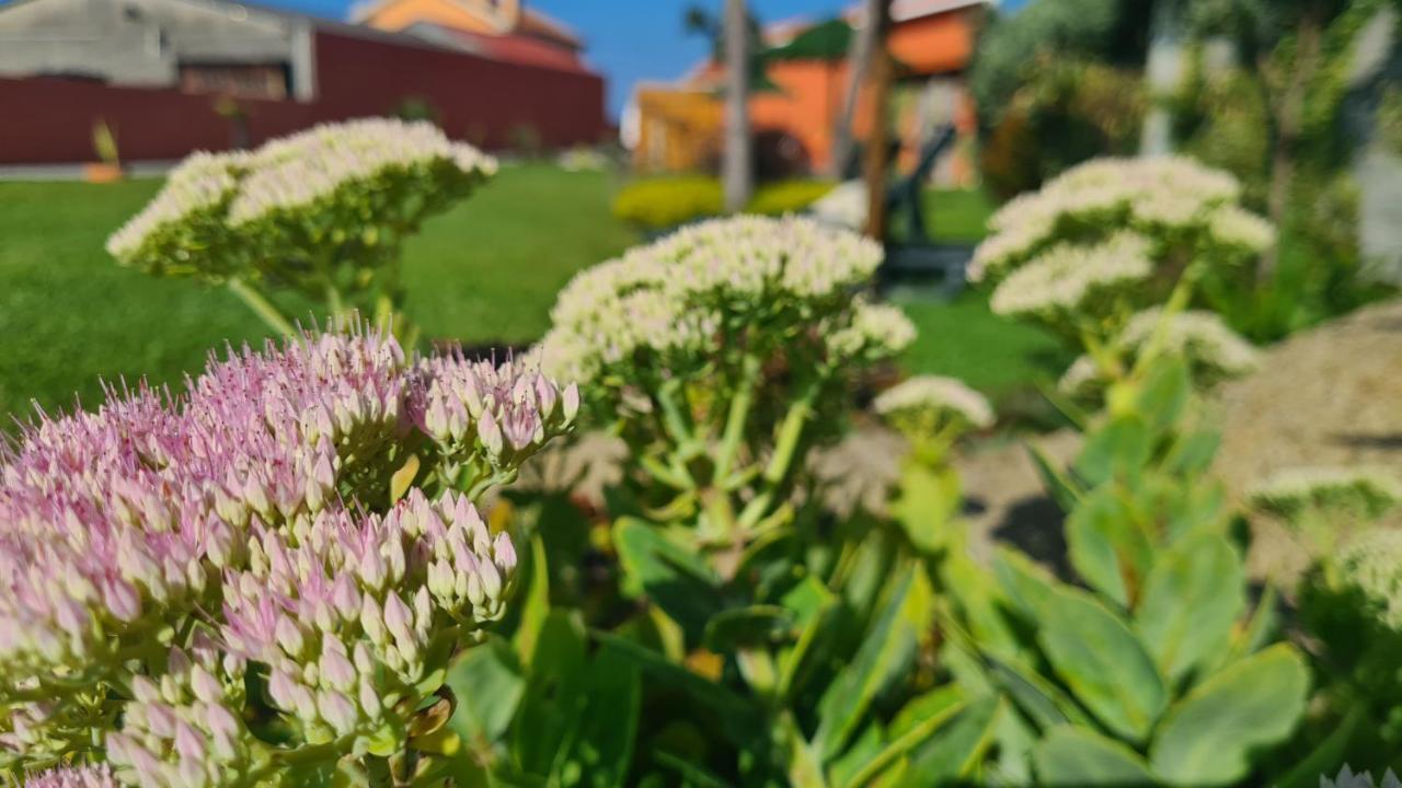 Hollidays Dreams Villa Póvoa de Varzim Eksteriør bilde