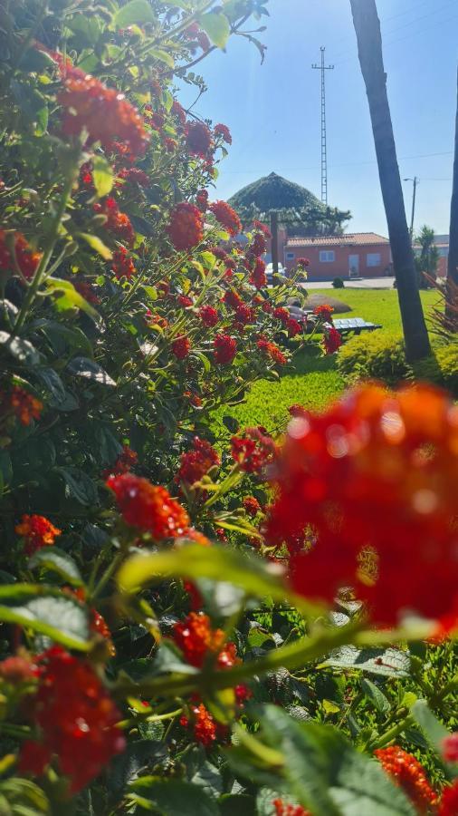 Hollidays Dreams Villa Póvoa de Varzim Eksteriør bilde