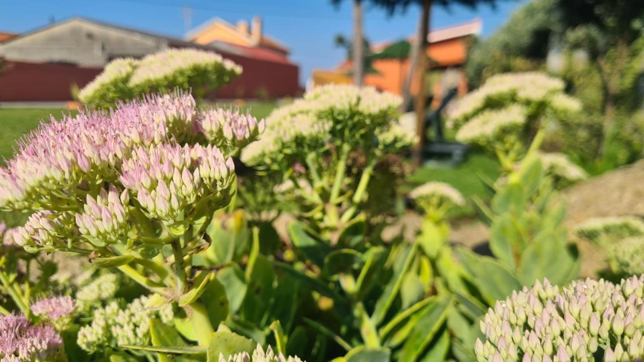 Hollidays Dreams Villa Póvoa de Varzim Eksteriør bilde